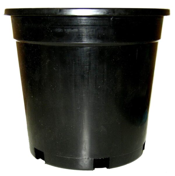 250mm STD BLACK POT GDP104-0