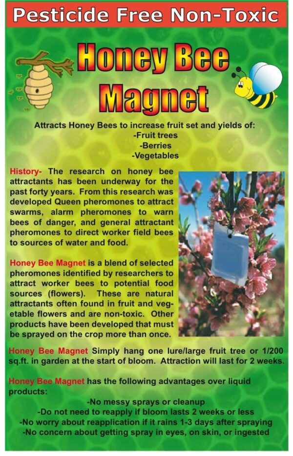 HONEY BEE MAGNET GPM132 -618