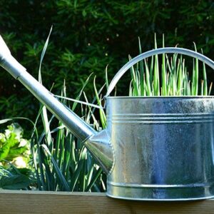 9 LITRE GALANIZED WATERING CAN GD306 -0