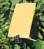 YELLOW STICKY CARD TRAPS – RETAIL GPM106 -0