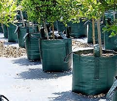 100 Litre PLANTER BAG GDP176-0