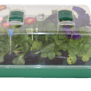 LARGE PROPAGATOR BOX IN COLOURED CARTON GDP222 35cm x 25cm. This can be used with coir pellets, biodegradable pots or seed compost. Includes 24 Cell Moulded Tray, Drip Tray and Ventilated Clear Protective Cover.-0