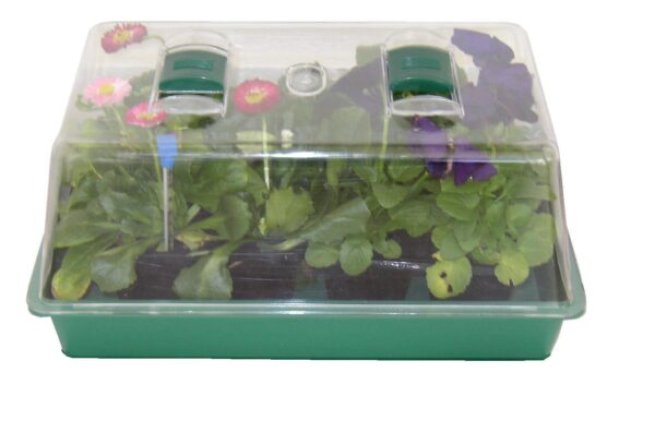 LARGE PROPAGATOR BOX IN COLOURED CARTON GDP222 35cm x 25cm. This can be used with coir pellets, biodegradable pots or seed compost. Includes 24 Cell Moulded Tray, Drip Tray and Ventilated Clear Protective Cover.-0