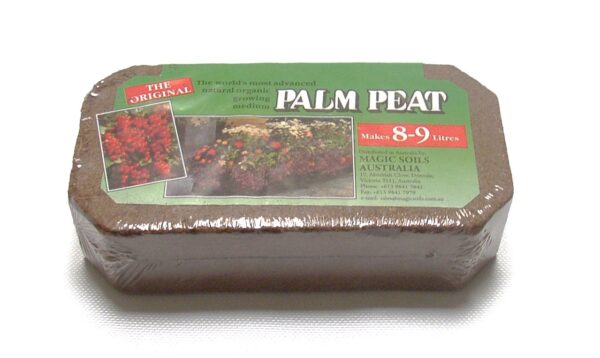 PALM PEAT 650gm GDP300-0