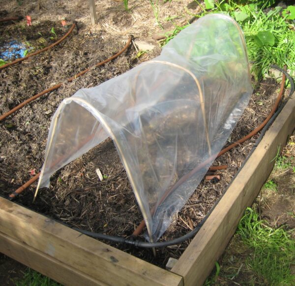 MINI GARDENERS GROW TUNNEL GDS149-0