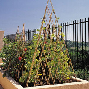 BAMBOO TEEPEE TRELLIS 1.8M GDS480-0