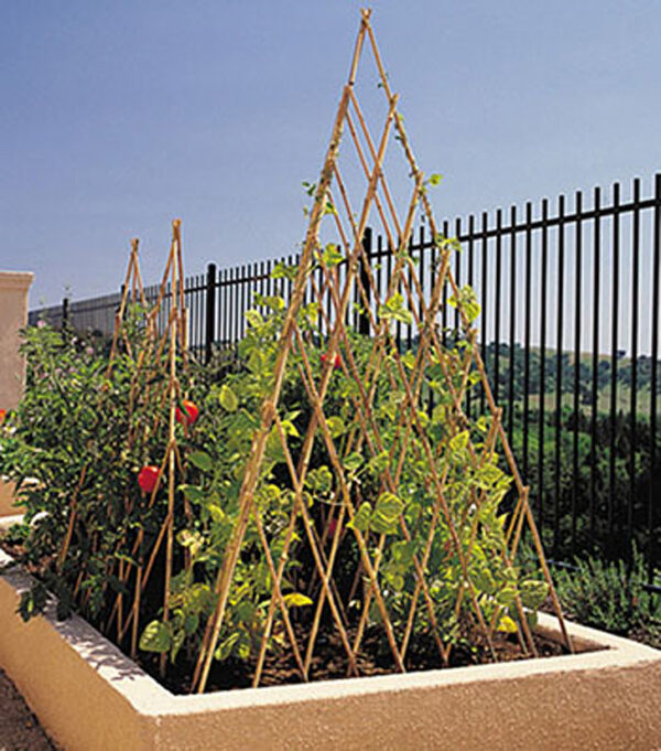 BAMBOO TEEPEE TRELLIS 1.8M GDS480-0