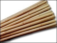 BAMBOO- LARGE CANES-0